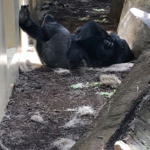 Meet your Posher, Gilberto